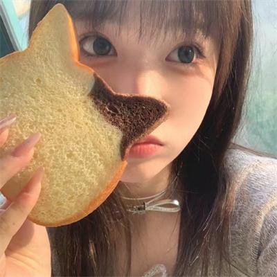羊与钢之森
